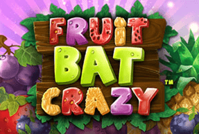 Fruit Bat Crazy